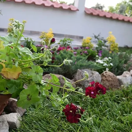 Tsafas αpartments Appartement