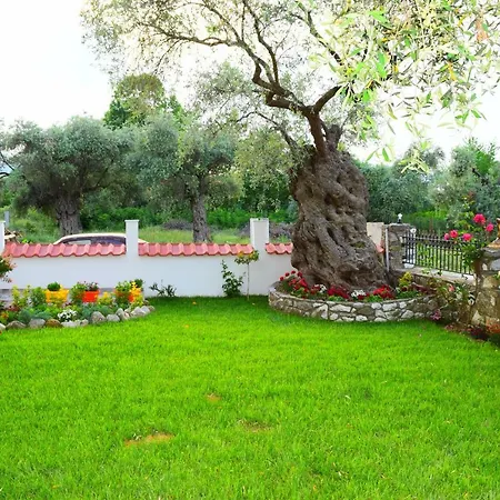 Apartment Tsafas αpartments