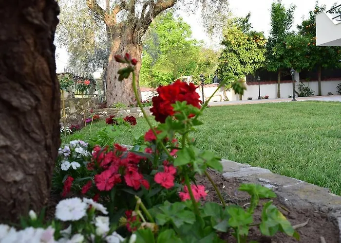 Tsafas αpartments * Limenas (Thasos)