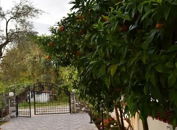 Daire Tsafas αpartments *