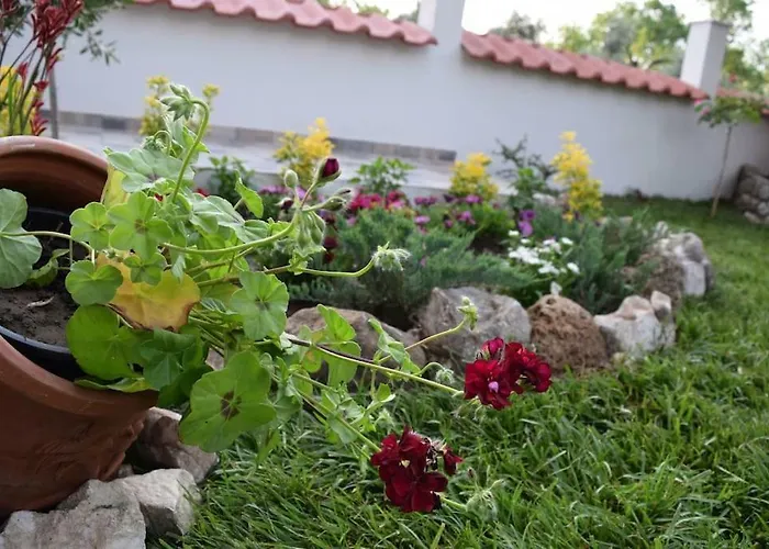 Tsafas αpartments Daire